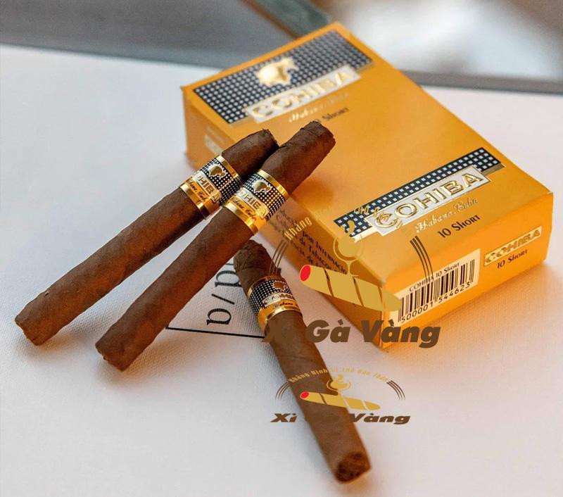 Cigar Short Cohiba có mức giá đa dạng